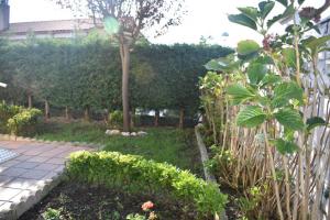 Zahrada ubytování Cómodo y coqueto chalet con jardín en Argoños