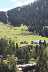 Pokrajina v okolici apartmaja