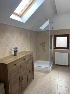 a bathroom with a shower and a skylight at Apartament Ella in Râşnov