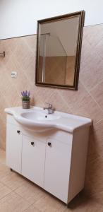a bathroom with a white sink and a mirror at Apartament Ella in Râşnov