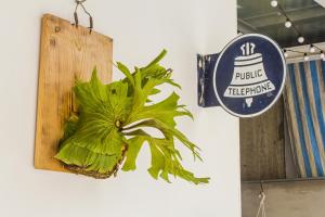 Billede fra billedgalleriet på 仁愛小公館-市區近東大門 i Hualien City