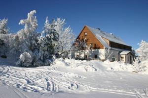 a house covered in snow in front of trees at Ferienwohnung Wagner in Kurort Altenberg