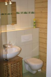 een badkamer met een toilet en een wastafel bij Ferienwohnung Wagner in Kurort Altenberg