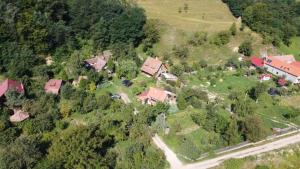 an aerial view of a house with a yard at IEDERA Casa de Familii 2 in Pianu de Sus