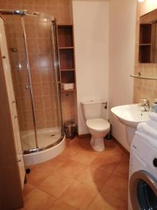 a bathroom with a shower and a toilet and a sink at Apartament Słoneczny in Ustroń