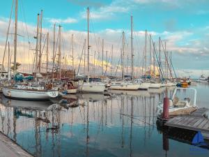 a group of boats docked in a harbor at Marina Cap Monastir- Appart'Hôtel in Monastir