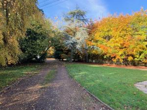 uma estrada de terra no meio de um parque com árvores em Aldercarr Hall em Attleborough