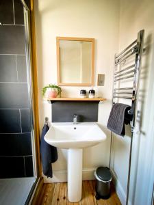 エクセターにあるNomi Homes - Powderham - Exeter - Uni - Free parking - Centralの洗面台、鏡、シャワー付きのバスルーム