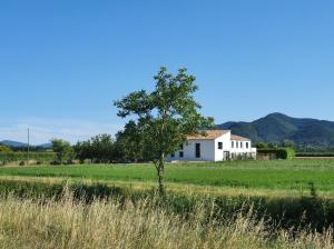a white house in a field with a tree at En campagne, confortable in Le Pouzin