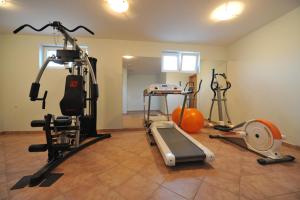 Fitness centrum a/nebo fitness zařízení v ubytování Villa Gravic