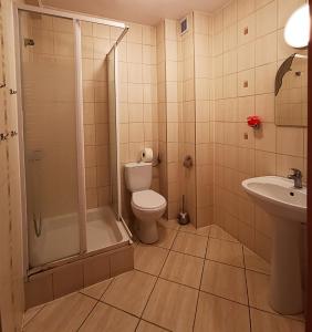 a bathroom with a toilet and a shower and a sink at Olimpik Park in Słubice