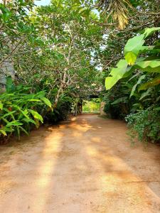 Taman di luar Dunes Unawatuna Hotel