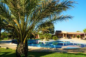 Basen w obiekcie Agroturismo Finca Sa Tanca lub w pobliżu