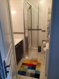 La salle de bains est pourvue d'une douche et d'un tapis coloré. dans l'établissement appartement cosy au calme et en centre ville, à Aix-les-Bains