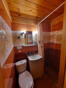 Kúpeľňa v ubytovaní Stajnia Bukwica + 37 fotografií