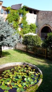 Zahrada ubytování Agriturismo Corte Pellegrini