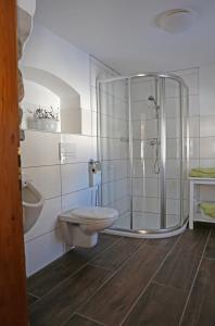 a bathroom with a shower and a toilet and a sink at Schwadenguetl in Gosau