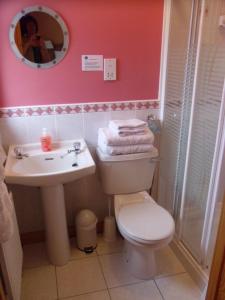 a bathroom with a toilet and a sink and a mirror at Lake Avenue House in Ballyconnell