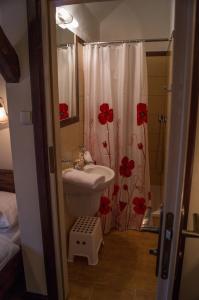 uma casa de banho com um lavatório e uma cortina de chuveiro com flores em Mazurska Leśniczówka Nowy Zyzdrój em Nowy Zyzdrój