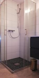 a shower with a glass door in a bathroom at Haus Dienten Top 11 in Dienten am Hochkönig