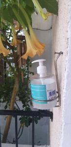 a bottle of sunscreen on a wall next to a flower at Villa Floren Castro Urdiales in Castro-Urdiales