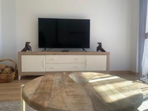 TV a/nebo společenská místnost v ubytování Santa María de Panticosa