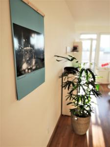 Fotografia z galérie ubytovania New apartment with garage parking v Brne