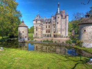 un viejo castillo con un estanque delante de él en Suite dans les dépendances du Château, en Agonges