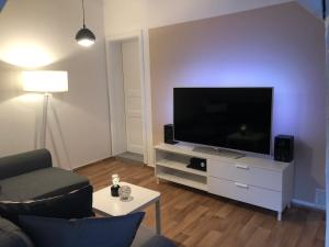 Suite Apartment Quedlinburg Schlosspfad tesisinde bir televizyon ve/veya eğlence merkezi