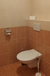 een badkamer met een wit toilet in een kamer bij HOTEL SVRATKA in Svratka