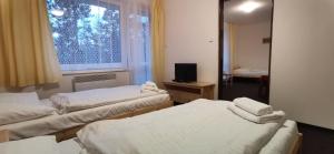 Posteľ alebo postele v izbe v ubytovaní HOTEL SVRATKA