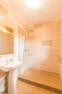 La salle de bains est pourvue d'un lavabo et d'une douche. dans l'établissement Pensiunea Agroturisticā Lukács Panzió, à Ujfalù