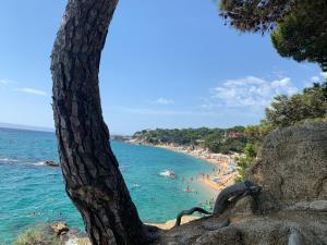 Antonella II, Castell-Platja dAro – Bijgewerkte prijzen 2022