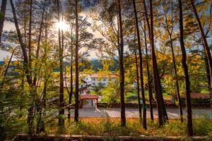a view of a house through the trees at Wolkendorf Bio Hotel & Spa in Vulcan
