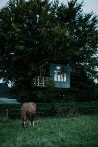 un cavallo che pascola in un prato di fronte a una casa di Treehouse escape a Kværndrup