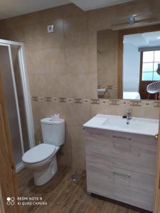 a bathroom with a toilet and a sink and a mirror at EL MEJICANO II in Trevías