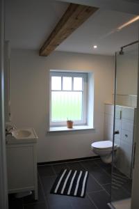 a bathroom with a toilet and a sink and a window at KolleHuus in Uelvesbüll
