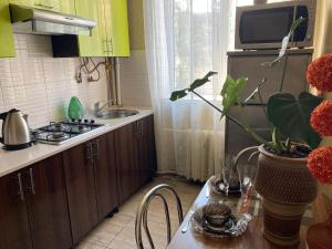 Η κουζίνα ή μικρή κουζίνα στο Apartment close to Roshen fountain