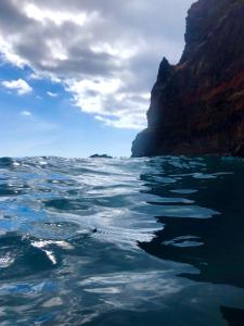 カニコにあるApartment Palma Madeira wandern und tauchenの海岸からの海の景色