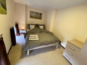 Posteľ alebo postele v izbe v ubytovaní Apartamenty W Brzozowym Gaju