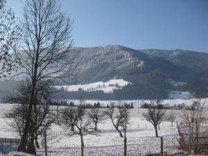 Zdjęcie z galerii obiektu Bauernhof Unterkrug w mieście Gnesau
