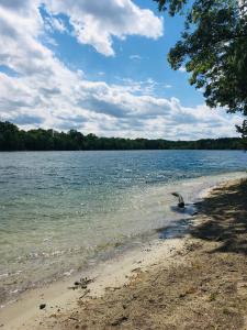 a view of a beach with the water at An der Glocke in Hennickendorf