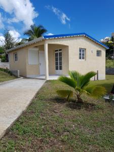 a house with a palm tree in front of it at THE ISLAND PARADISE in Baillif