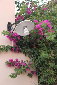 A garden outside Holiday villa Gelso - Ragusa