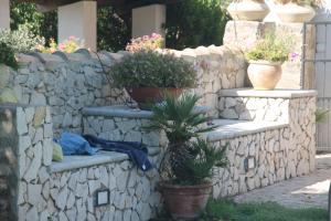 A garden outside Holiday villa Gelso - Ragusa