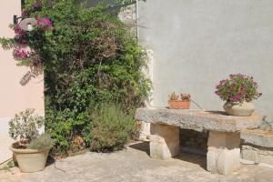 A garden outside Holiday villa Gelso - Ragusa