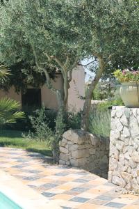 A garden outside Holiday villa Gelso - Ragusa