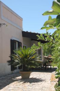 A garden outside Holiday villa Gelso - Ragusa