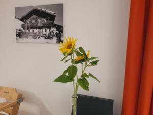 Fotografie z fotogalerie ubytování Apartment "Künstlhäusl" v destinaci Jochberg