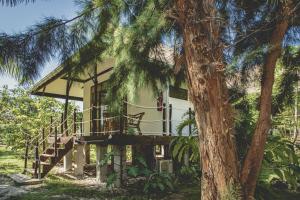 Gallery image of Le Coconut Lodge in Avatoru